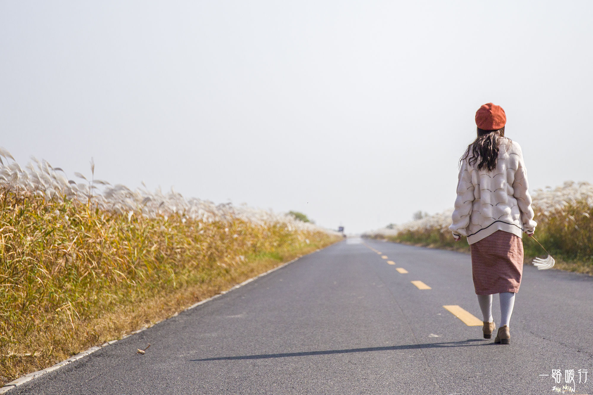 东营丨走过沧海桑田，终是在芦花飞雪的秋日遇见你