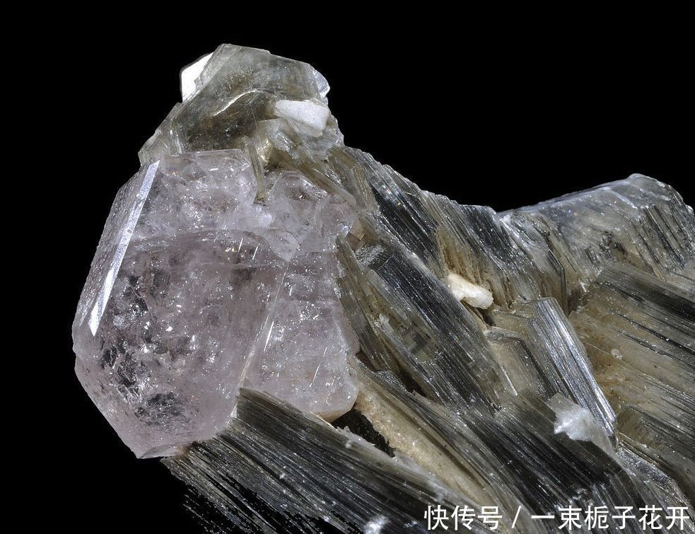 脸上:你脸上的高光和眼影,是20000个印度孩子拿命换的。