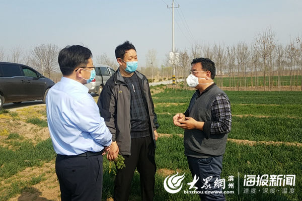  【病虫害】滨州市农业农村局调研组到沾化调研