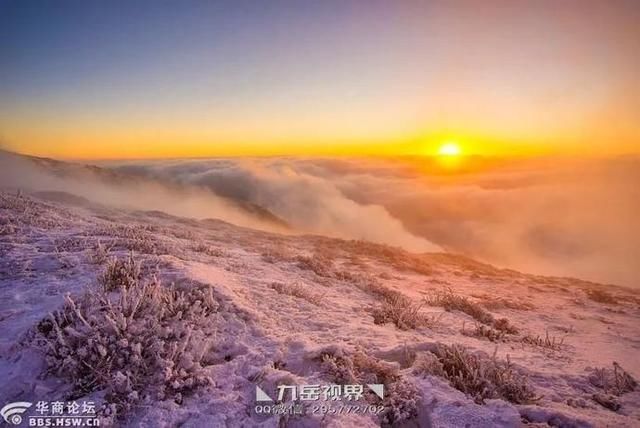  「微波站观鹿」我爱秦岭，过去现在未来