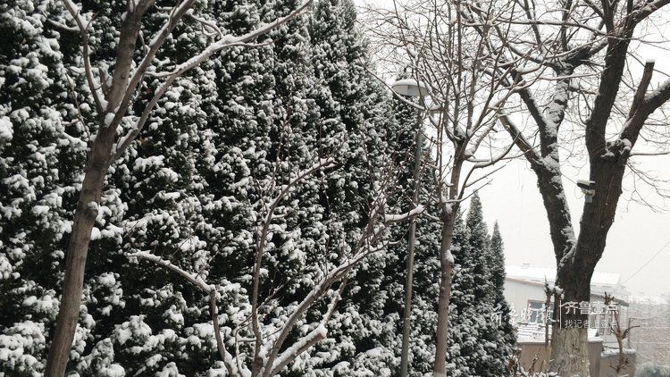 瑞雪兆丰年，淄博迎来了2019年首场降雪