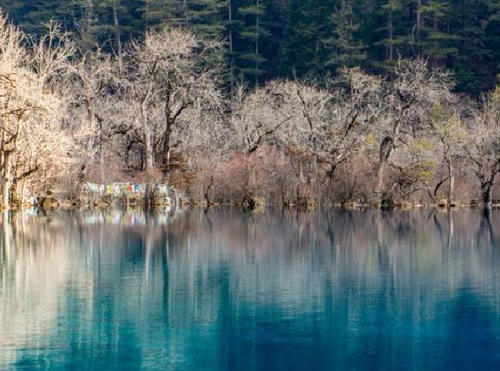 仍未公开的绝对秘境!中国版的“黄石公园”,亚洲最大的冰瀑--