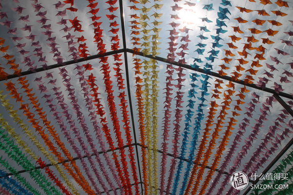 8012年,我的佳能500D和他的朋友们