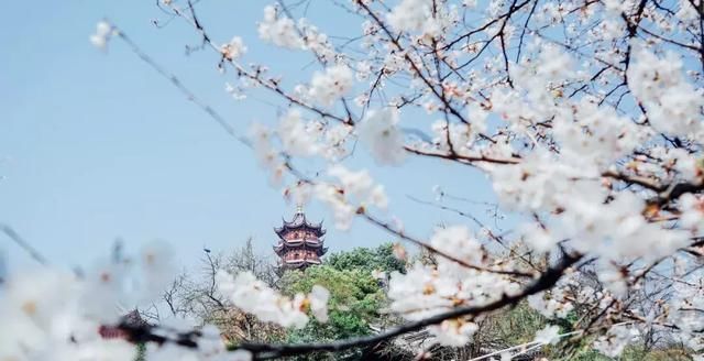 这几个地方景色太美还免费，网友大呼：辞职也要去看看