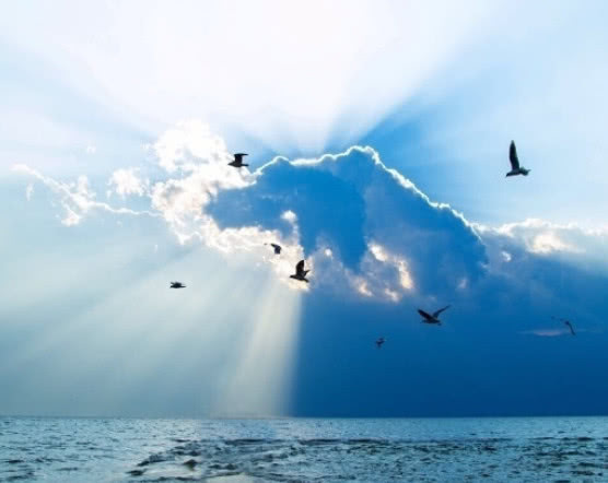 洱海1800多家客栈被拆,拆除现场触目惊心,网友:拆的好