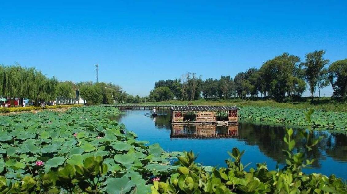  环境治理：华北明珠白洋淀的春天，经过几年环境治理，天蓝水清人幸福
