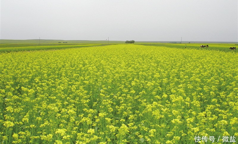 行长一句话,中小微企业办理银行贷款有希望了