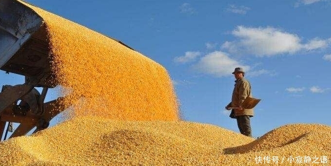 袁隆平：粮食靠进口，农民却不种地，人家不卖给我们粮食就麻烦了