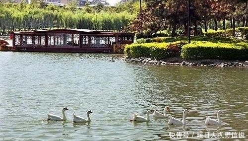  钓西|上午钓西＋下午钓东 农村人的垂钓俗语说到了点子上