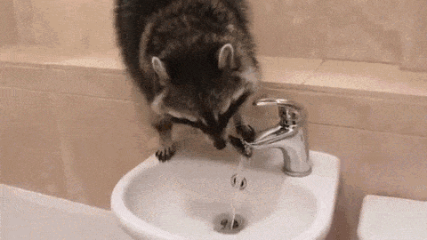 金晨洗脸用的到底是什么！芝士or洁面皂？