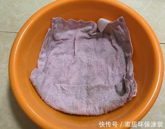 『玉米棒子』小清新的绿植盆栽,花生、玉米都能做!种子盆栽就是这么简单!