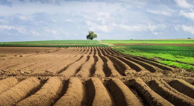  [承包]从2020年开始，承包土地的农民可以得到多少国家的补助金