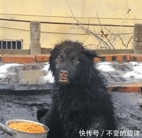 用来:我一直以为这个洞是用来放手指的,直到现在我才发现错了,哈哈哈哈哈哈