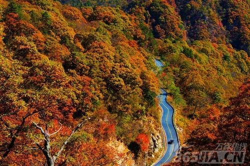 速看！安徽10条自驾游线路新鲜出炉 看完赶紧安排上