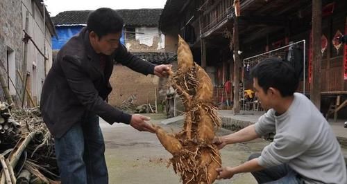  男子■男子竹园挖到“稀罕物”，村民表示没见过