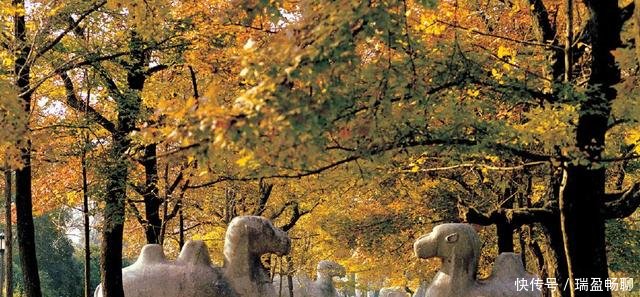 不看经济看旅游，苏州、南京、扬州、杭州，谁才是江南第一城