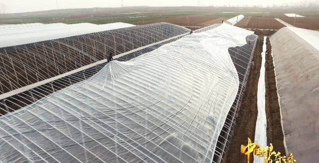  温室|全世界每3条养殖的鱼，就有2条来自中国!