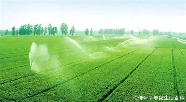  [农民朋友]农村承包地将全面“合并”，实行“一户一田”，真的