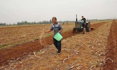  只能|农民老了怎么办？