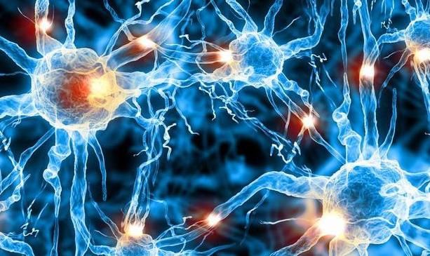  「辣椒」它比世界上最辣的辣椒还辣一万倍，辣到可以帮人止痛，涨知识了