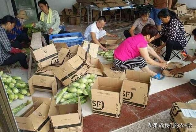 五个适合在农村的小投资项目，想创业的进来看看吧！