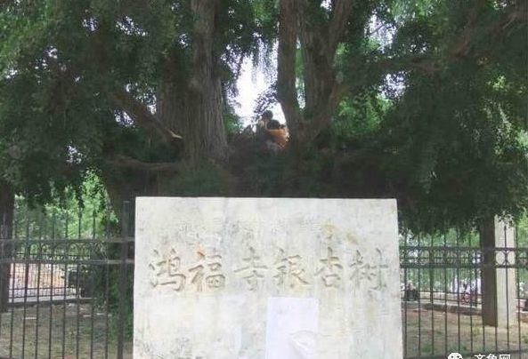 来了！山东这条“最牛”高铁下月通车！坐上它去这些地方“打卡”