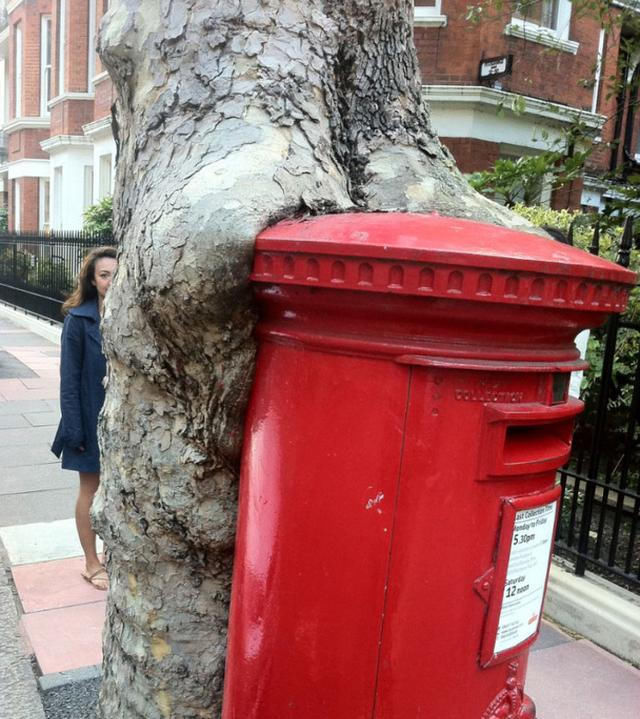 13张照片证明了大自然有多强大