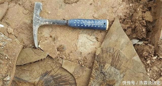  「环境」假如青藏高原不隆起，我国南方是什么环境