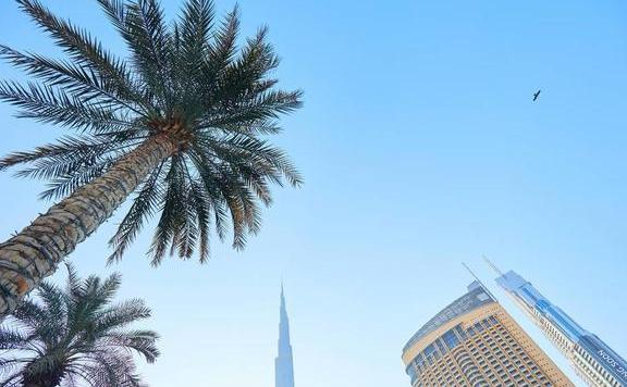 请您欣赏：世界第一高楼——哈利法塔，高达828米