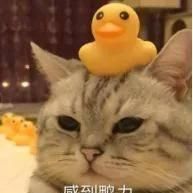  [洗澡]洗澡洗不对，可能会伤害孩子！这5大误区，家长一定要避开！