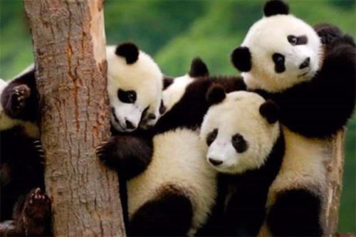  「gdp」我国最“霸气”省会，GDP突破1.5万亿，比第二到第十城总