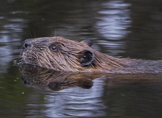 服气！接近零下20度，这台10多万的SUV还敢爬山撒野
