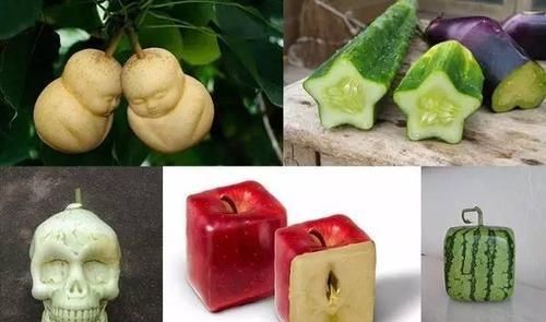  蔬果：为什么现实中没见过方形的蔬果？是因为不好吃吗？专家来为你解答