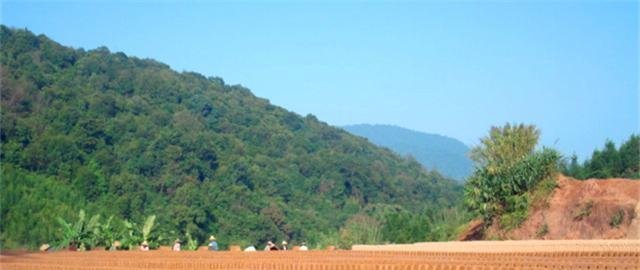  「村民」国家禁止农村使用红砖建房，但村民却还在用，这到底是