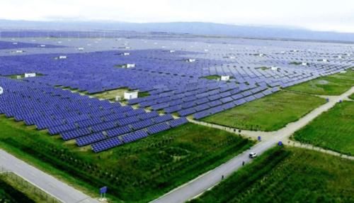  我国：我国在发电站放了几千只羊，世界难题就这样被解决，西方