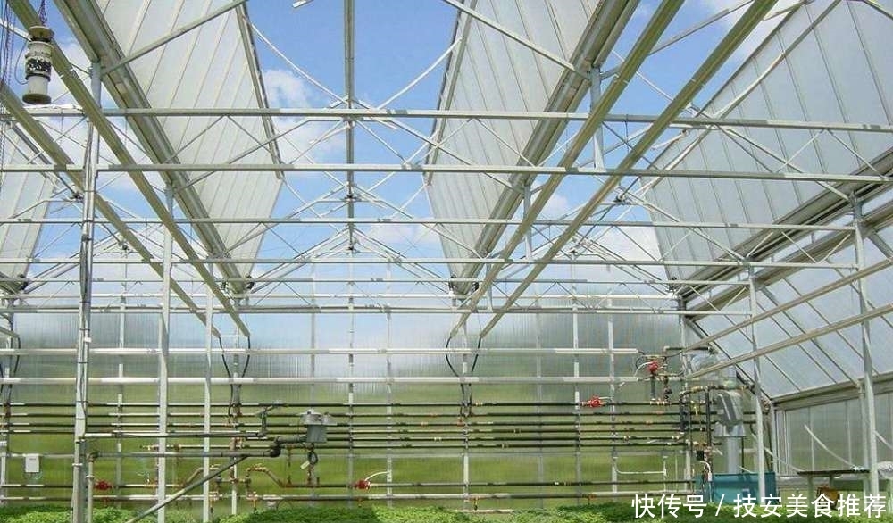  大棚■盖大棚穷三年，农民抱怨不赚钱，以色列的温室大棚为啥这