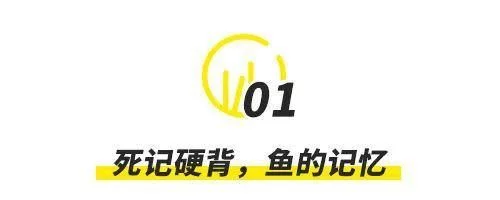 0%雅思考生记不住单词，都是这个原因！你“躺枪”了吗？"