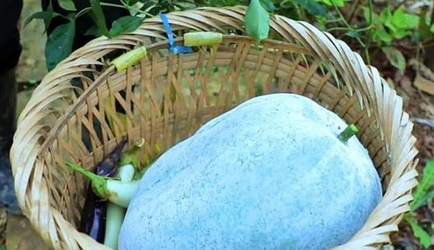  【食物】李子柒花园有多有钱？冬瓜可以装在篮子里，辣椒可以用来插花