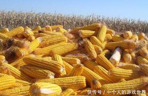 粮价突变19年补贴定不得超过300元亩！直接打卡！