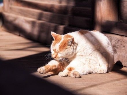 『让皮肤变』一年四季都要防晒!这些危害让你了解防晒的重要性