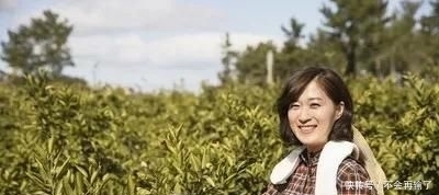  「种植」在农村可以包地创业吗？种植什么能赚钱？