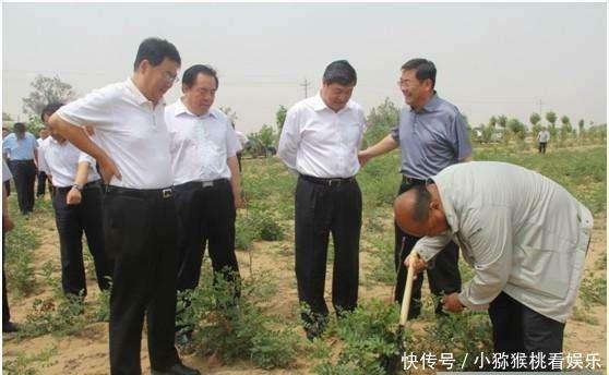  唯一■世界上唯一沙漠变绿洲的地方, 中国人再次向世界证明“奇