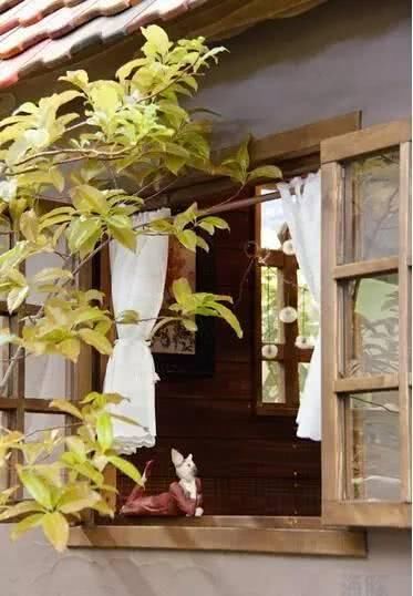  「养花」等我们年纪大了，回乡下，开辟院子，种菜养花