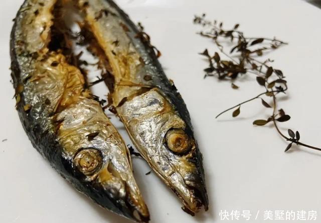  「水果鼠尾草」6种香香花，厨房客厅都能养，闻着香吃着也香，摘一把长10盆！