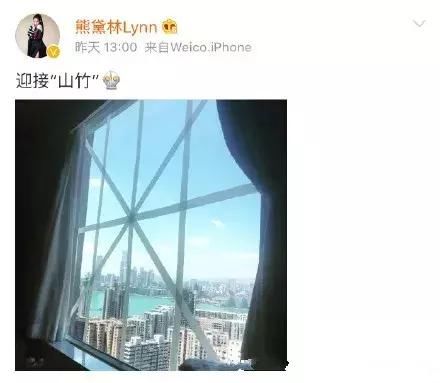 山竹文案太好笑 发博的多数是港台艺人和情商高的明星 而他躺枪了