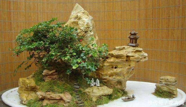 什么盆景最火？莫过于山水盆景，这3种形式最具观赏性！