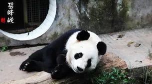  『解封』解封之后都是假期，推进几个说走就走的无病毒景点