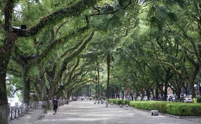 最适合骑自行车旅游的小城，4元钱看遍湖泊与山峰，游客：好惬意