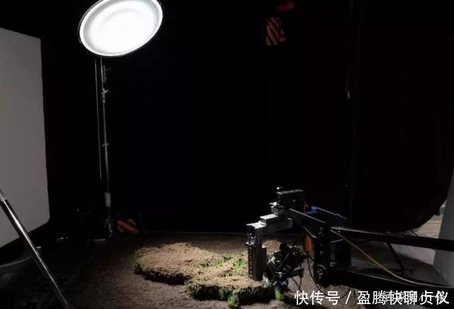 这部纪录片央视发力了，每一帧都可以当壁纸，BBC也无法超越