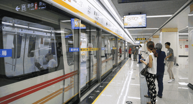 快乐百科流言粉碎机 | 比蓝鲸还长的动物，真的存在吗?